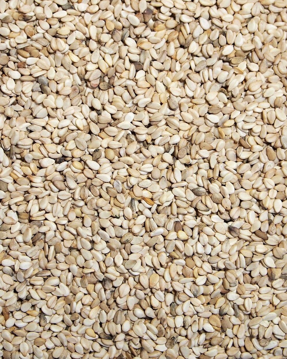 Whole sesame seeds.