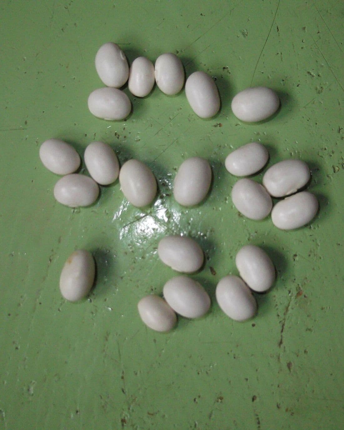 Dried soya beans.