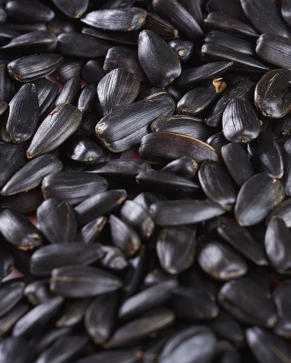 Sunflower seeds.